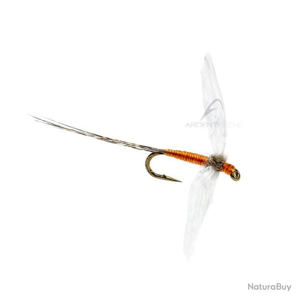 Mouche AB FLY Eph�m�res spents SBC OR H20