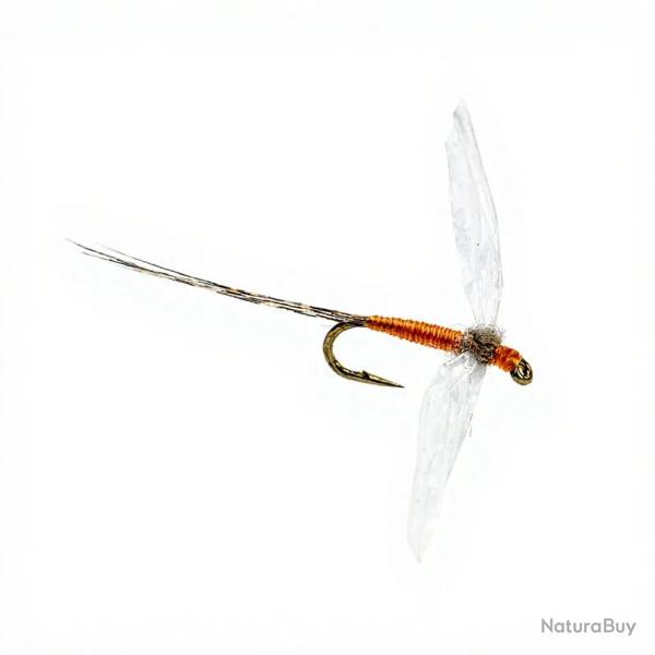 Mouche AB FLY Eph�m�res spents SBC OR H20
