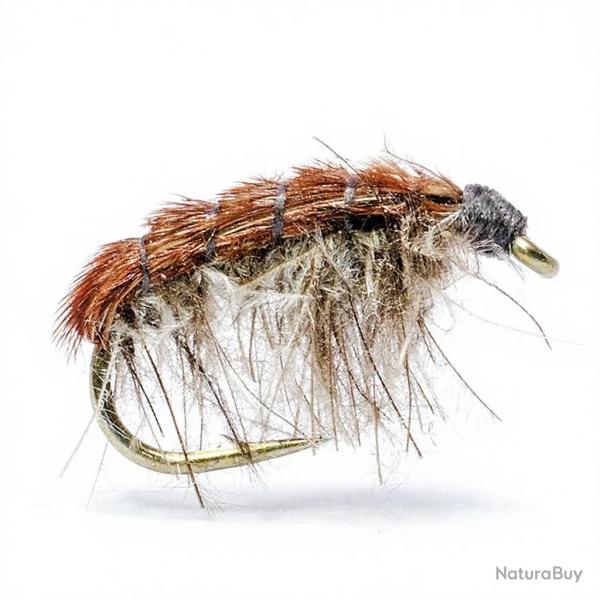 Mouche AB FLY Gammare GAM CDC GR H14