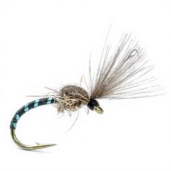 Mouche AB FLY Chironome SHUT F NO C H16