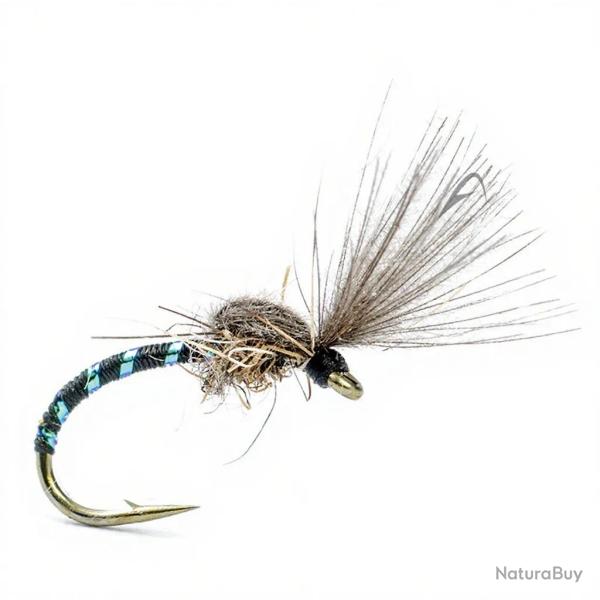 Mouche AB FLY Chironome SHUT F NO C H16