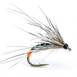 Mouche AB FLY Chironome NY CHIRO NO TO H14