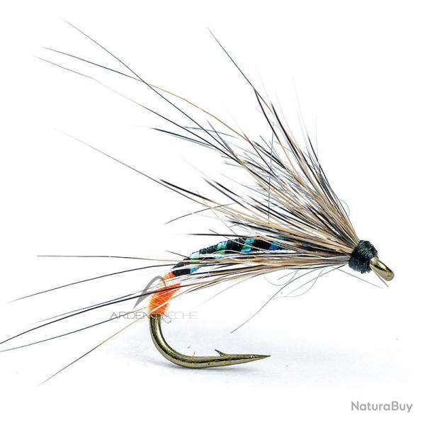 Mouche AB FLY Chironome NY CHIRO NO TO H14