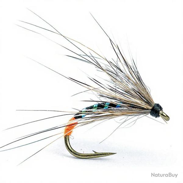 Mouche AB FLY Chironome NY CHIRO NO TO H14