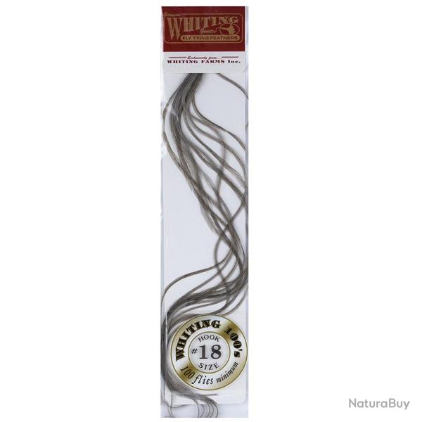 Plumes de Saddle WHITING 100