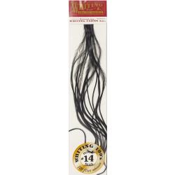 Plumes de Saddle WHITING 100 H14 teint&eacute; noir