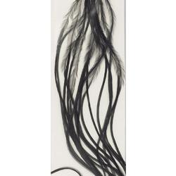 Plumes de Saddle WHITING 100 H14 teint&eacute; noir