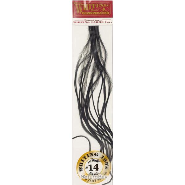 Plumes de Saddle WHITING 100 H14 teint� noir