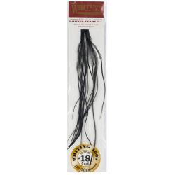 Plumes de Saddle WHITING 100 H18 noir