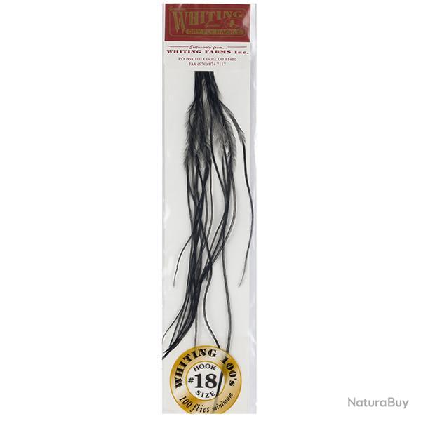 Plumes de Saddle WHITING 100 H18 noir
