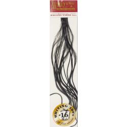 Plumes de Saddle WHITING 100 H16 teint&eacute; noir