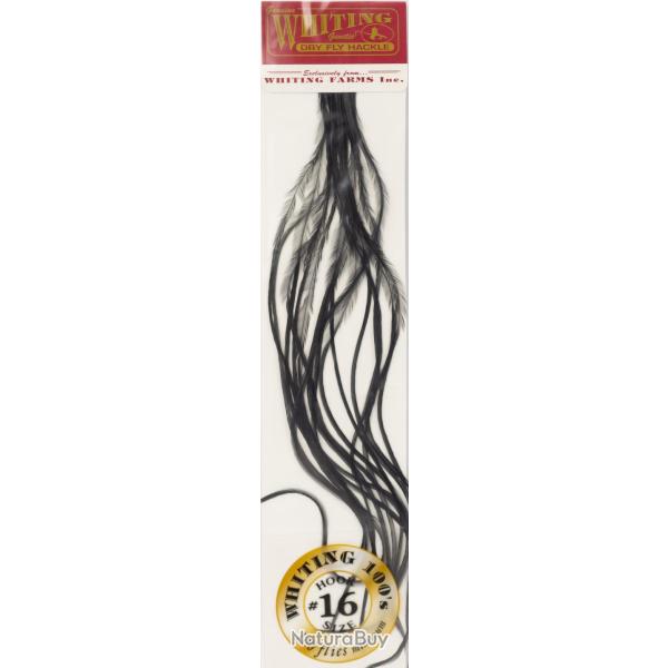 Plumes de Saddle WHITING 100 H16 teint� noir