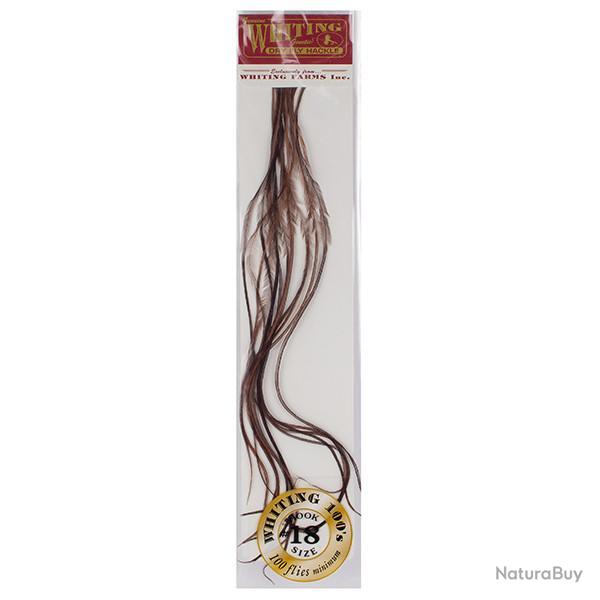 Plumes de Saddle WHITING 100 H18 teint� coachman