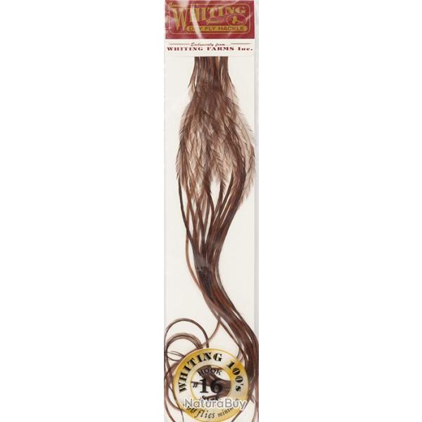 Plumes de Saddle WHITING 100 H16 teint� coachman