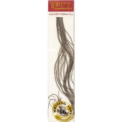 Plumes de Saddle WHITING 100 H16 teint&eacute; gris fonc&eacute;