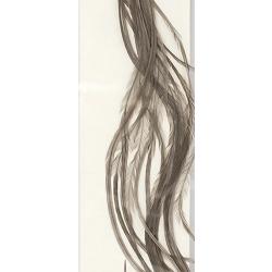Plumes de Saddle WHITING 100 H16 teint&eacute; gris fonc&eacute;
