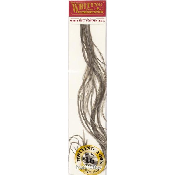 Plumes de Saddle WHITING 100 H16 teint� gris fonc�