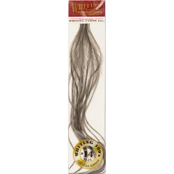 Plumes de Saddle WHITING 100 H14 teint&eacute; gris fonc&eacute;