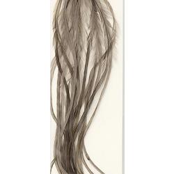 Plumes de Saddle WHITING 100 H14 teint&eacute; gris fonc&eacute;