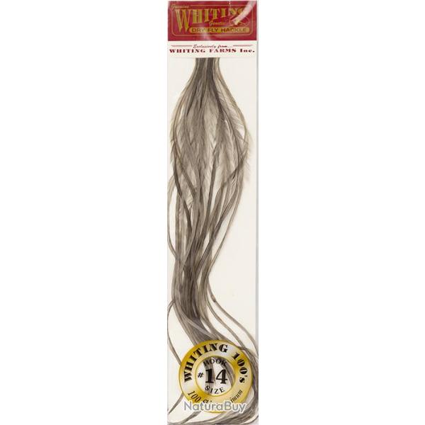 Plumes de Saddle WHITING 100 H14 teint� gris fonc�