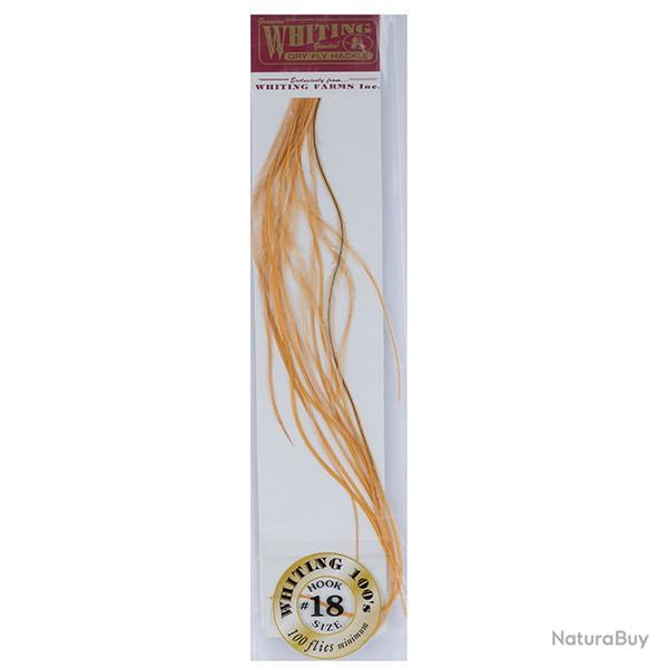 Plumes de Saddle WHITING 100 H18 teint� roux dor�