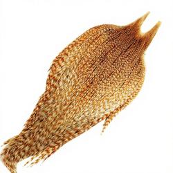 Cous de coq METZ grade 2 chinchilla roux