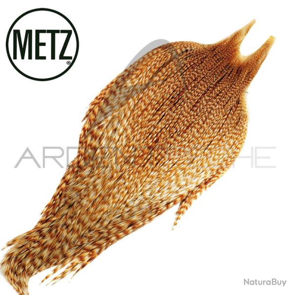 Cous de coq METZ grade 2 chinchilla roux