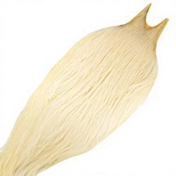 Cous de coq METZ grade 2 creme