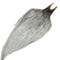 Cous de coq METZ grade 2 gris clair