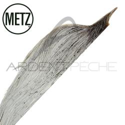 1/2 cous de coq METZ grade 2 gris clair