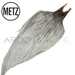 Cous de coq METZ grade 3 gris clair