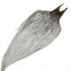 Cous de coq METZ grade 3 gris clair