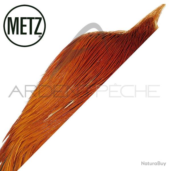 1/2 cous de coq METZ grade 3 roux