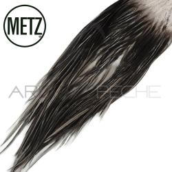 Croupes de coq METZ grade 2 dun