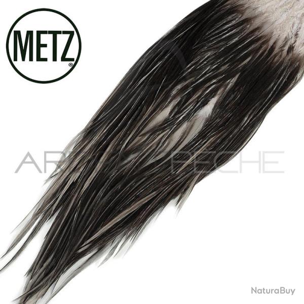 Croupes de coq METZ grade 2 dun