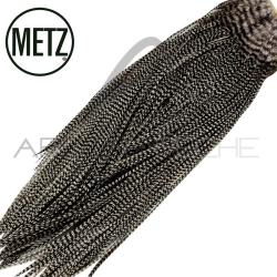 Croupes de coq METZ grade 2 grizzly