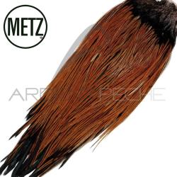 Croupes de coq METZ grade 2 roux