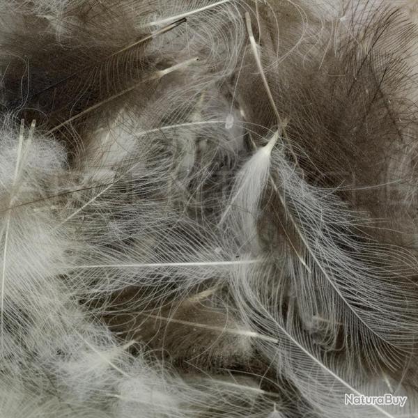 Cul de canard XL AB FLY Mixte