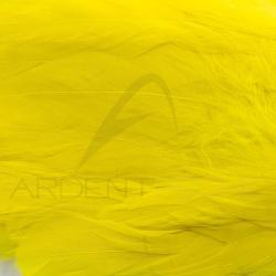 Schlappen jaune