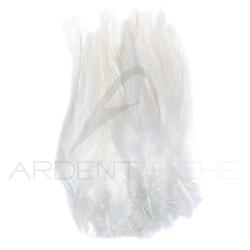 Grand hackle de coq blanc