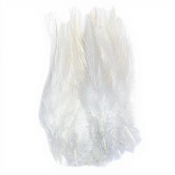 Grand hackle de coq blanc