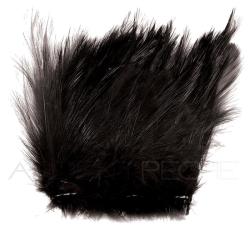 Grand hackle de coq noir