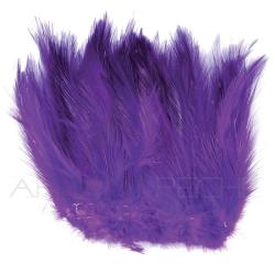 Grand hackle de coq violet