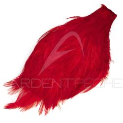 Cou de coq teint&eacute; ( rooster neck) rouge