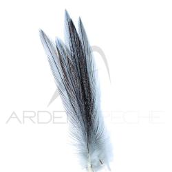 Coq de p&ecirc;che corr&eacute;zien plume de cou Gris cendr&eacute; fum&eacute; H12-14
