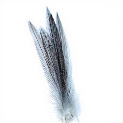 Coq de p&ecirc;che corr&eacute;zien plume de cou Gris cendr&eacute; fum&eacute; H12-14