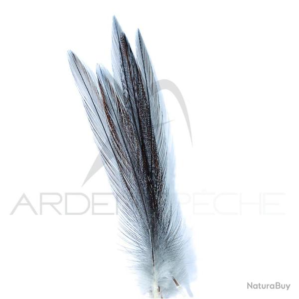 Coq de p�che corr�zien plume de cou Gris cendr� fum� H12-14