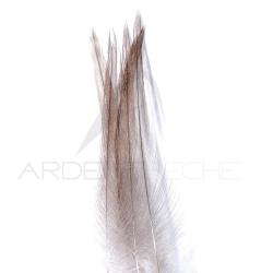 Coq de p&ecirc;che corr&eacute;zien plume de cou gris cendr&eacute; H18-16