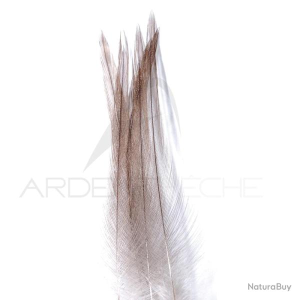 Coq de p�che corr�zien plume de cou gris cendr� H18-16