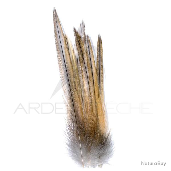 Coq de p�che corr�zien plume de cou gris cendr� rouill� H12-14